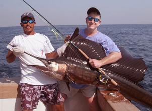 Guatemalan Sailfish on fly bu Jerry Coates