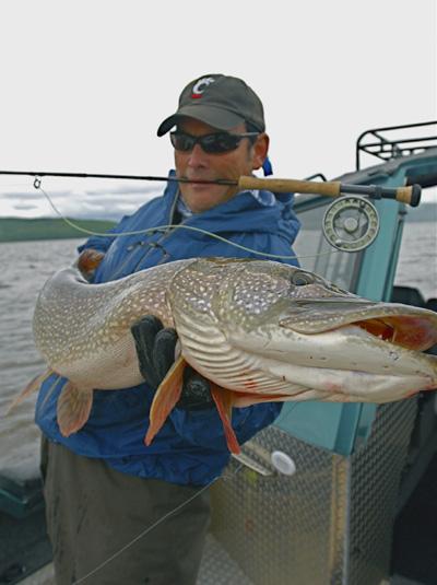 Tony Weaver releasing world record Northern Pike caught on fly in north western Alaska
