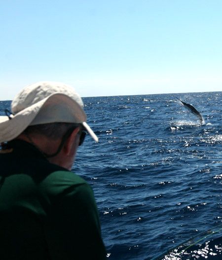 Marlin on Fly