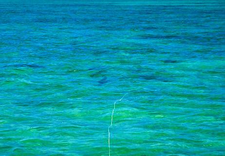 Logger Head Basin Tarpon on Fly, Florida Keys