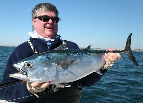 Albie on Fly