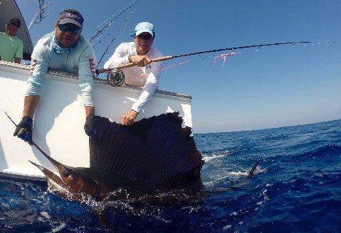 Don's first Sailfish on fly, with Bob Jones aboard Makaira, January 11 2016