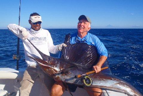 Paul Lombardi Sailfish on Fly January 2014 First Sailfish School catch