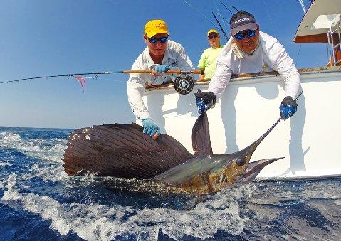 Eric Hirschhorn first Sailfish on Fly aboard Intensity March 10 2014 The Sailfish School