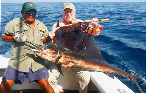 Joe Darcy Sailfish on Fly