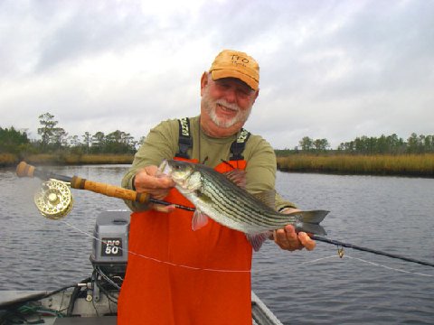 NC Striper on Fly