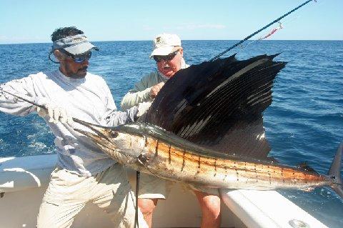 Ken Haupt, Sailfish on Fly, Lap Dance, Jake Jordan's Sailfish School, Casa Vieja Lodge, Intensity with Captain Mike Sheeder, Jan 17, 2011