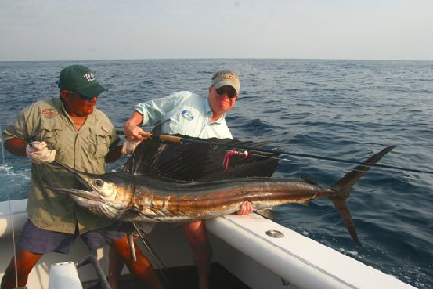 Tom Gilmore Sailfish on Fly