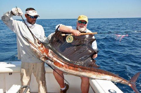 Rick Pope Sailfish on Fly, one of 8 caught at the Sailfish School aboard Intensity January 2014