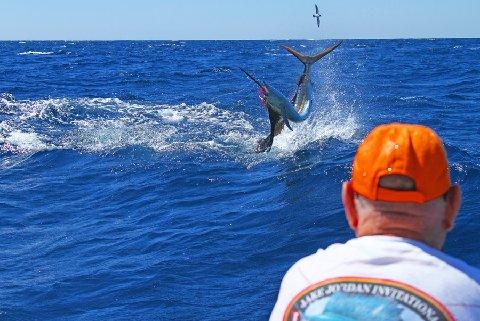 Action Shot Sailfish on Fly January 17 2014 Intensity Captain Mike Sheeder Jake Jordan Angler