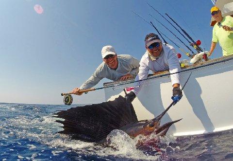 Chris Weatherley, Sailfish on Fly March 11, 2014 Makaira with Captain Jason Brice The Sailfish School