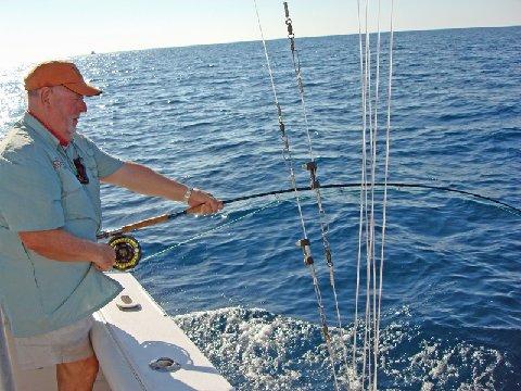 Jake Jordan fighting Big Blue Marlin on fly (over 400#) Jan 17, 2011 aboard "Intensity" with captain Mike Sheeder, out of Casa Vieja Lodge, Guatemala