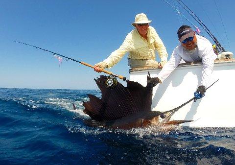 Johm Killian first Sailfish on fly The Sailfish School March 13 2014 vessel Makaira with captain Jason Brice