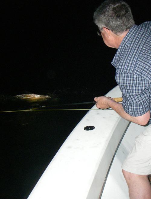 Night time Tarpon on fly, June 10, 2010