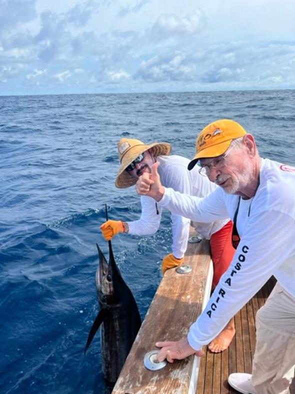 George Maybee, Sailfish On Fly, August 17, 2022