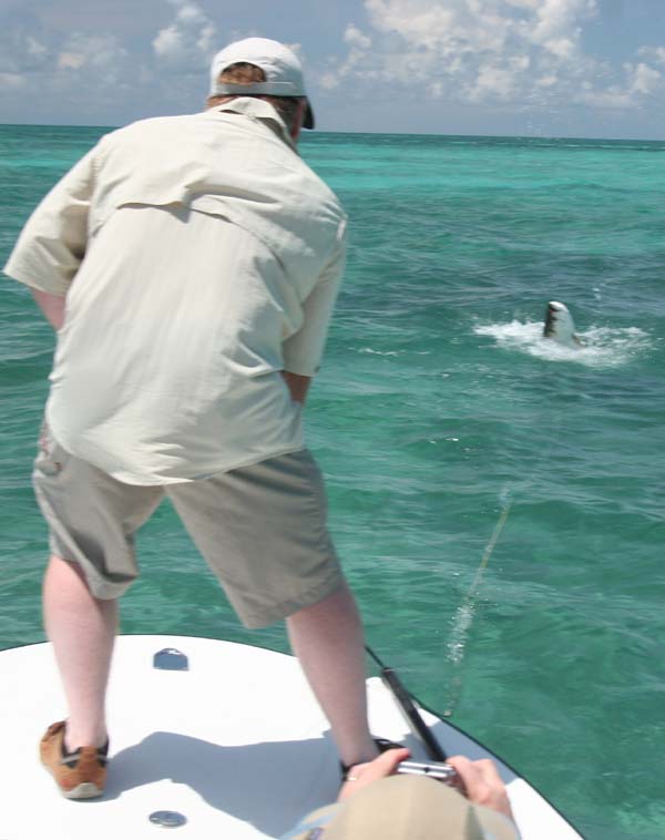 Philip Moran Jumping Tarpon