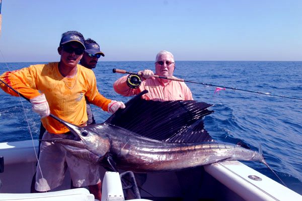 Joe Darcy Fly caught Guatemalan Sailfish