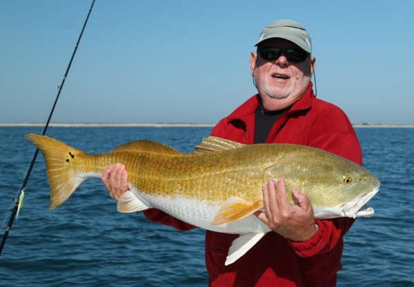 Giant NC Redfish on fly