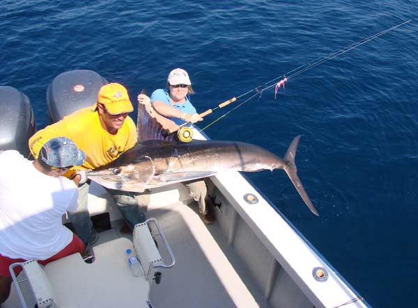 World Record Marlin on fly