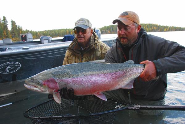Billy Coulliette, owner of Alaska Troutfitters, in Coopers Landing Alaska releasing Giant Kenai River Rainbow Trout caught on Fly.