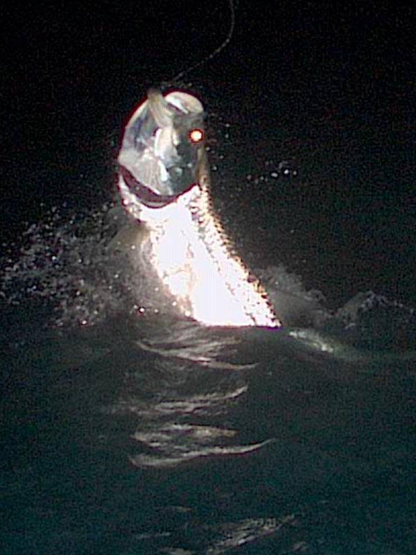 Tony Weaver jumped Tarpon on Fly April 21, 2014 Vessel Fly Reel with Captain Jake Jordan