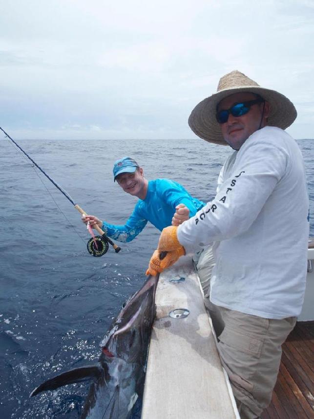 Jari Releasing first Blue Marlin on Fly July 2016