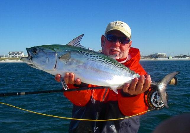 Jake Jordan releasing Cape Lookout Albie on Fly