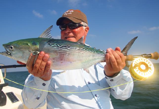 Rick's first NC Albie on fly caught aboard "Fly Reel" with Captain Jake Jordan