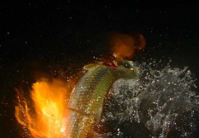 Dusty Byrd; Extreme Nighttime, Tarpon on Fly May 24, 2011, Florida Keys, Captain Jake Jordan, vessel Fly Reel