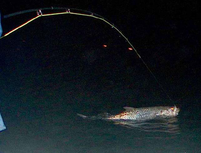 Gerrry Wendrovsky, Night Tarpon on Fly, May 16, 2011, Captain Jake Jordan