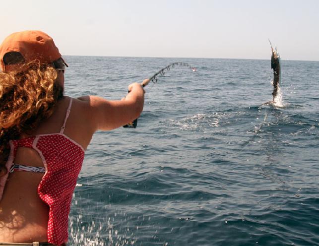 Dusty Byrd Sailfish school jumping sailfish on fly