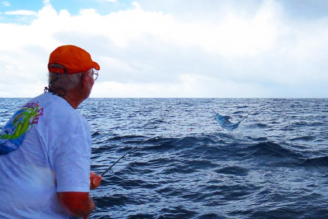 George Maybee fight his fifth Blue marlin on fly, vessel Dragin Fly, The Costa Rica Blue Marlin Fly Fishing School, August 2016