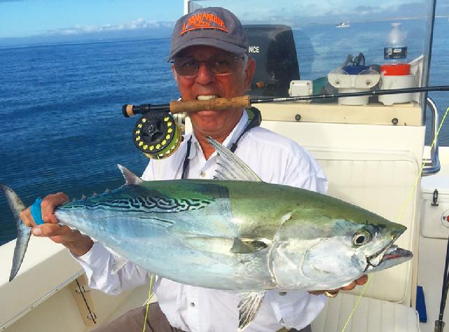 Albert Bruno releasing Large Albie aboard the vessel "Fly Reel" with Captain Jake Jordan