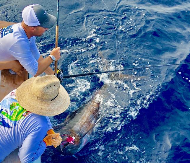 Bucky Wile and John Wile Aboard "Dragin Fly" 6 Blue Marlin total at my Costa  Rica Blue Marlin School