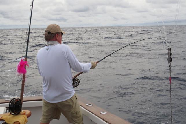 Roy Cronacher fighting his second Blue MArlin, caugth on fly today, The Blue MArlin Fly Fishing School, Los Suenos CR, aboard "Dragin Fly"