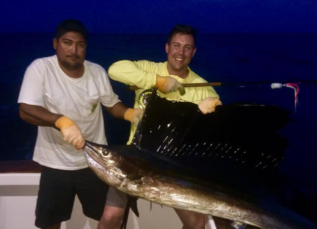 Clif Machado , Sailfish on Fly, Released  June 2017