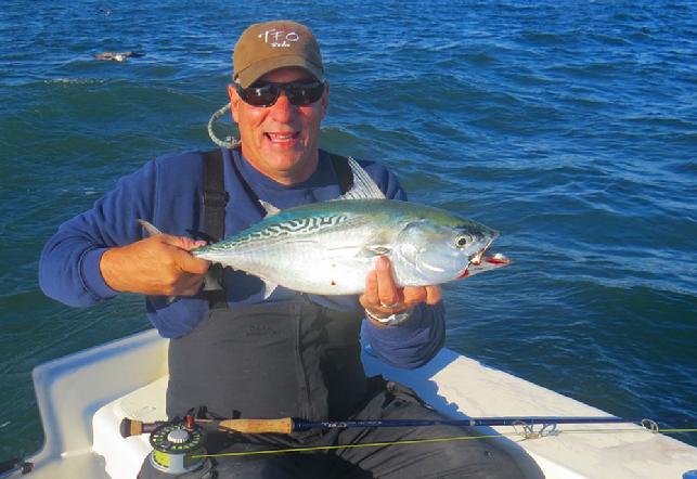 How to Set up a Fly Reel for False Albacore - Flylords Mag