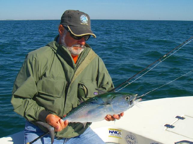Cape Lookout Albie on Fly aboard "Fly Reel" with Captain Jake Jordan, Angler Gary Caputi