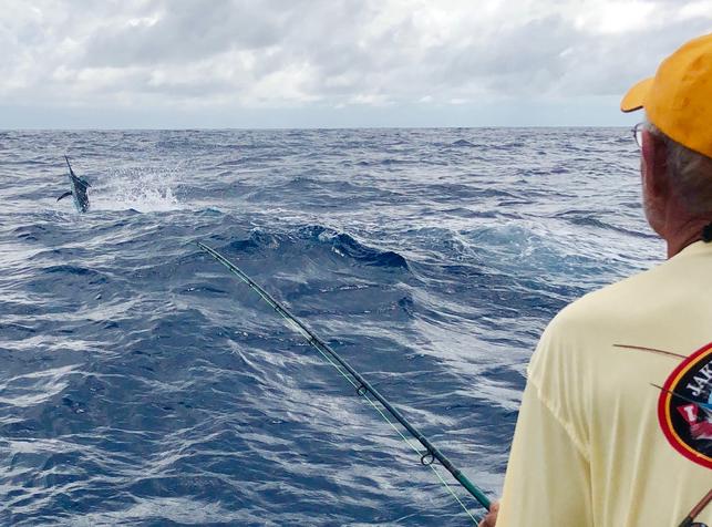 George Maybee catching his 19th Blue Marlin of his lifetime at my Costa Rica Blue Marlin Fly Fishing School aboard the vessel Dragin Fly