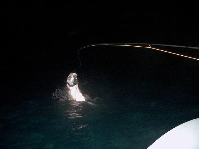 Tarpon on Fly, Florida Keys, Captain Jake Jordan, Rob Grammer Angler