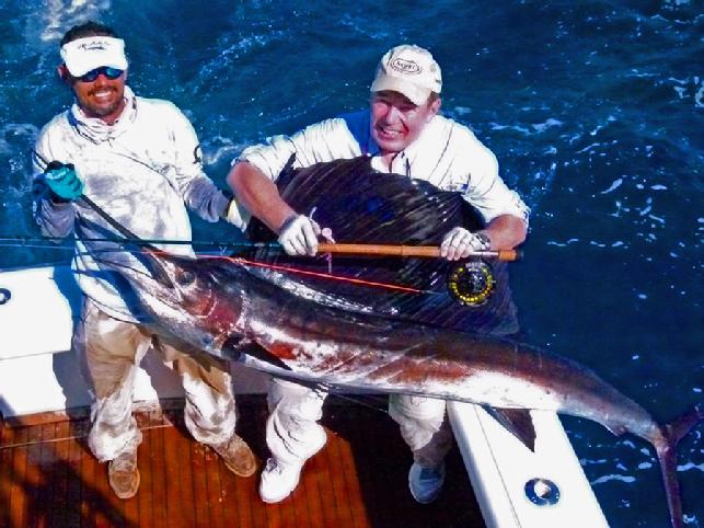 Nat Harris, one of thirty two sailfish caught and released on fly aboard Intensity with Captain Mike Sheeder and Mates Flaco and Ricardo, at Casa Vieja Lodge, Guatemala, December 9, 10, 11, 12, 2012, Jake Jordan's Sailfish School client