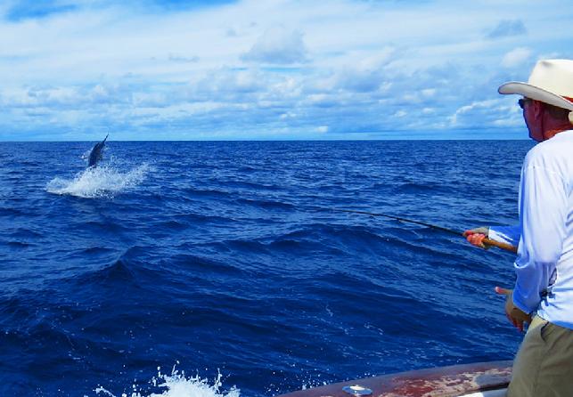 Roy Cronacher First Blue Marlin on Fly, CR Blue MArlin fly fishing school, Jake Jordan, Dragin Fly, Captain James Smith